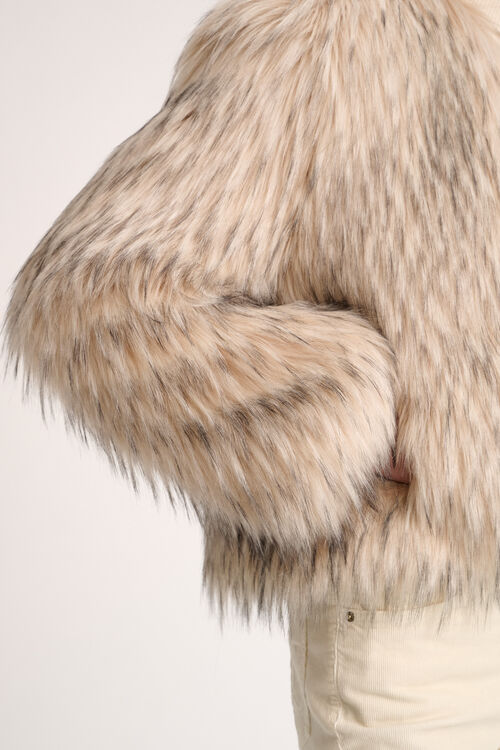 Saga, 113511580000, large image number 3