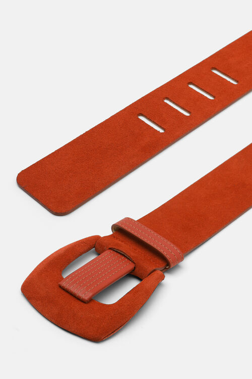 Dacelide, brown, large image number 3