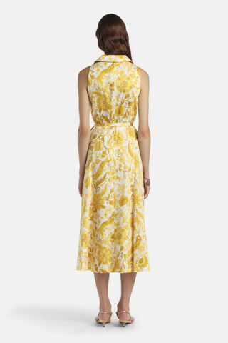 Piagge, yellow, large image number 1