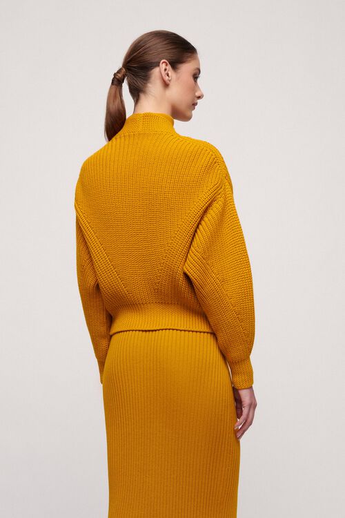 Mail, mustard, large image number 1