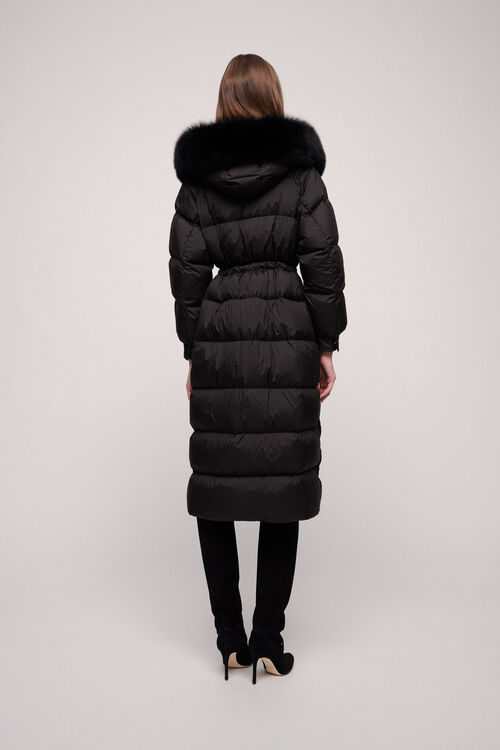 Siamesi, black, large image number 1