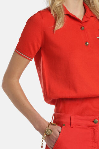 Miconia, red, large image number 3