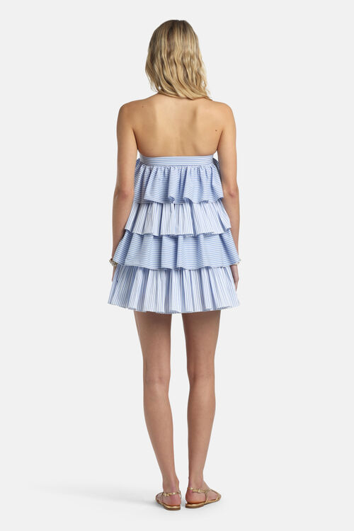 Plenaria, light blue, large image number 1