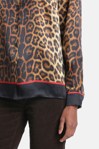 Limana, 341100000000, large image number 3