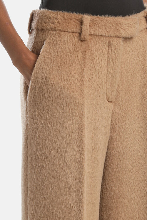 Opato, camel, large image number 2