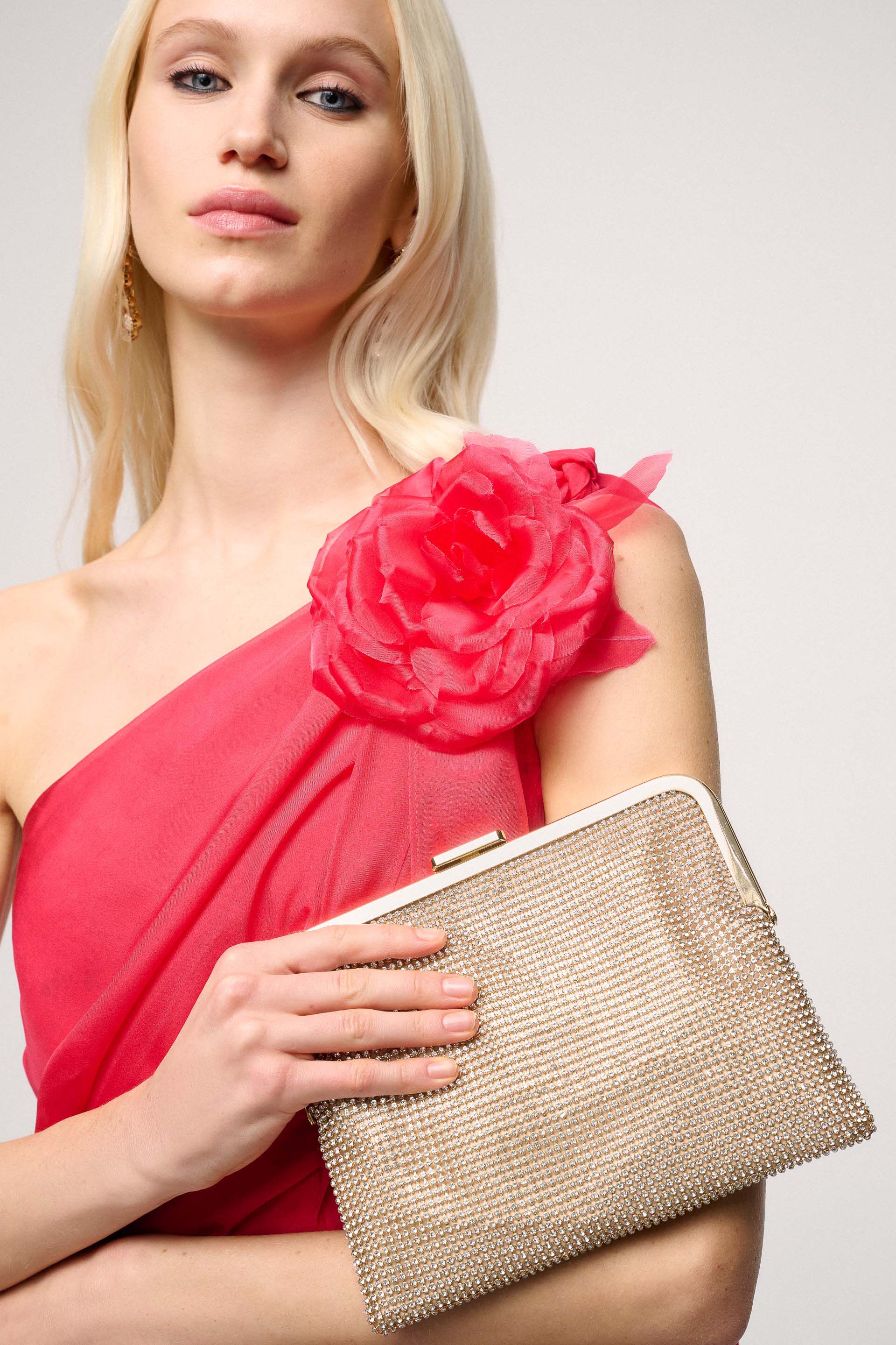 Clutch and Pochette Luisa Spagnoli