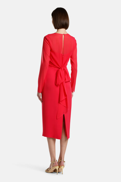 Protocollo, coral-coral, large image number 1