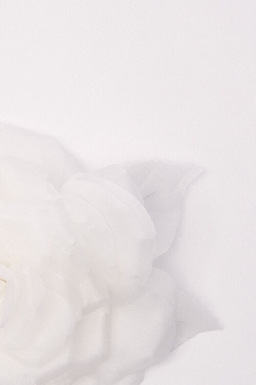 Nubiani, white, large image number 1