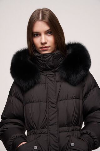 Siamesi, black, large image number 2