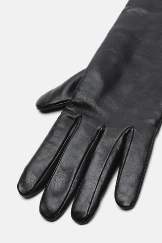 Ubaldo, black, large image number 2
