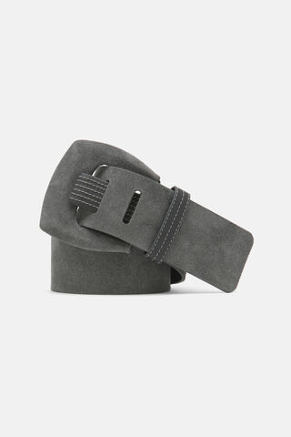 Dacelide, 103300000000, large image number 2