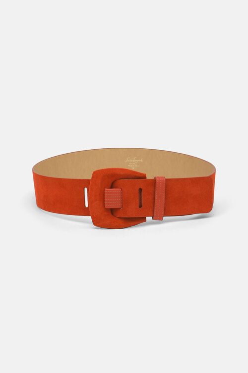 Dacelide, brown, large image number 0