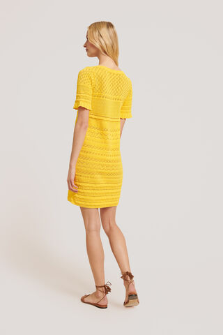 Case, yellow, large image number 1