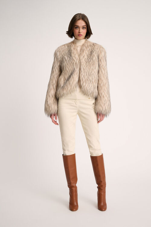 Saga, 113511580000, large image number 4