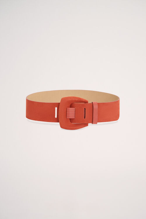 Dacelide, 157100000000, large image number 0