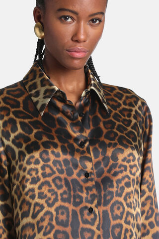 Limana, 341100000000, large image number 2