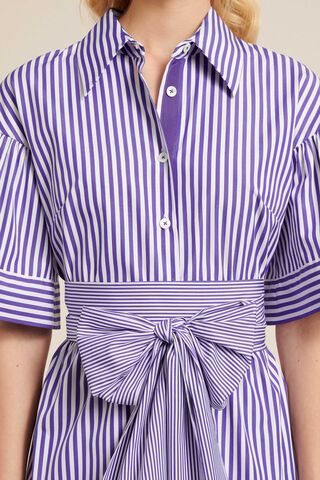 Paradigma, purple stripe, large image number 2