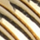 Dalmine, gold, swatch