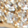Daphnia, gold-nickel, swatch
