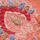 Risi, coral, swatch