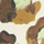 Gratitudine, 448200000000, swatch