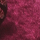 Saia, cyclamen, swatch
