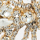 Nuceto, nickel-gold, swatch