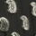 Gorla, black-gold, swatch