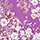 Remige, 464900000000, swatch