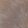 Niassesi, 111600020000, swatch