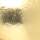 Navelli, gold, swatch